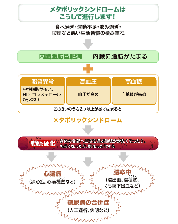 メタボリックシンドロームの進行